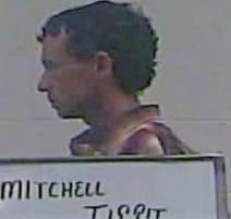 Tippit Mitchell - Marion County, MS 