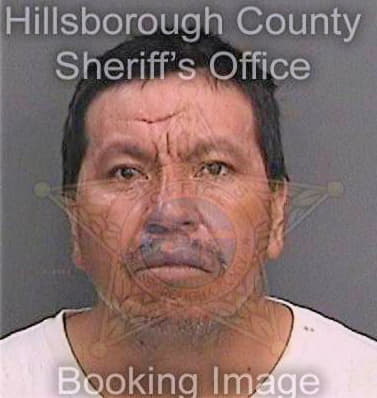 Cruz Herminio - Hillsborough County, FL 