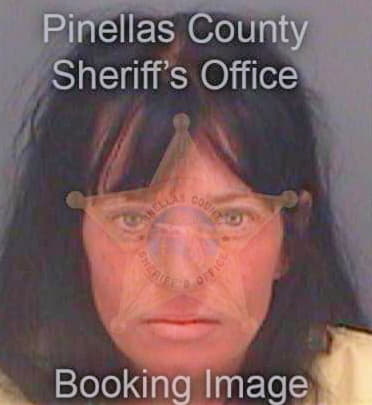 Schleif Lori - Pinellas County, FL 