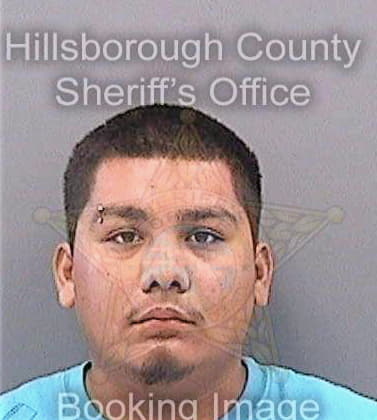 Garcia Pedro - Hillsborough County, FL 