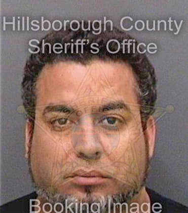 Torresperez Silvio - Hillsborough County, FL 