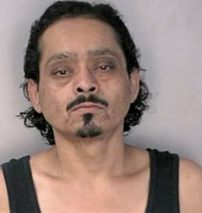 Mejia Erick - Hillsborough County, FL 