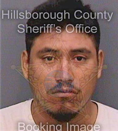 Perez Luis - Hillsborough County, FL 