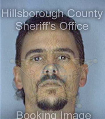 Mcquinn Harry - Hillsborough County, FL 