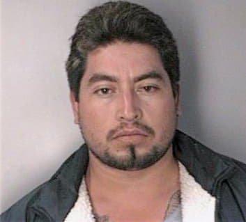 Vegasadoval Jose - Hillsborough County, FL 