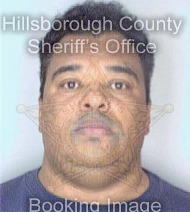 Garcia Rigoberto - Hillsborough County, FL 