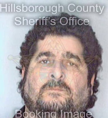 Hughes Lewis - Hillsborough County, FL 