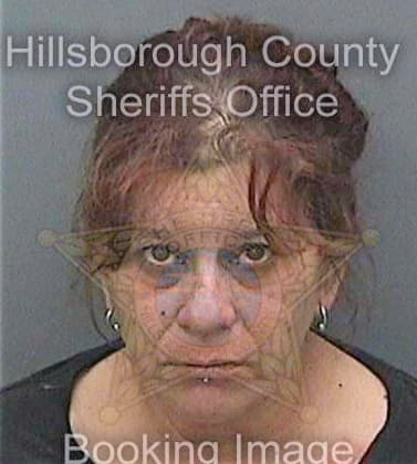 Holley Debra - Hillsborough County, FL 