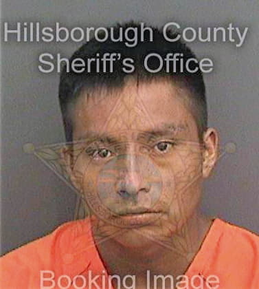 Gomezgomez Alejandro - Hillsborough County, FL 