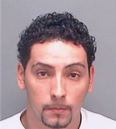 Dejesus Carmello - Pinellas County, FL 