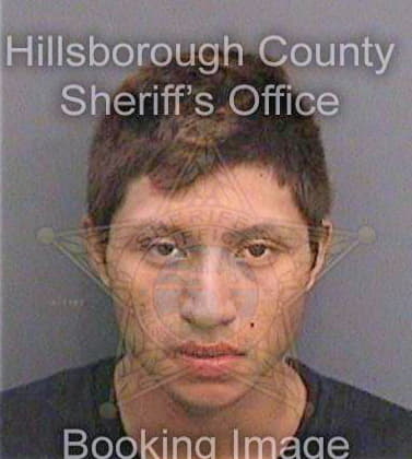 Lopez Eduardo - Hillsborough County, FL 