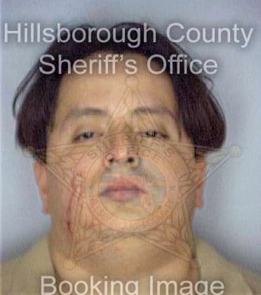 Cedeno Jose - Hillsborough County, FL 