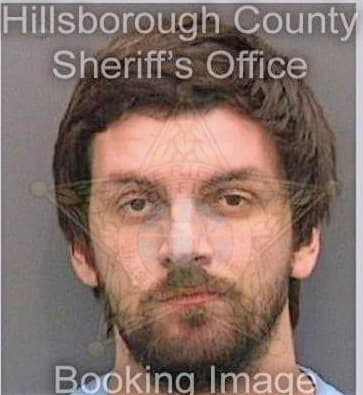 Renslow Tyler - Hillsborough County, FL 