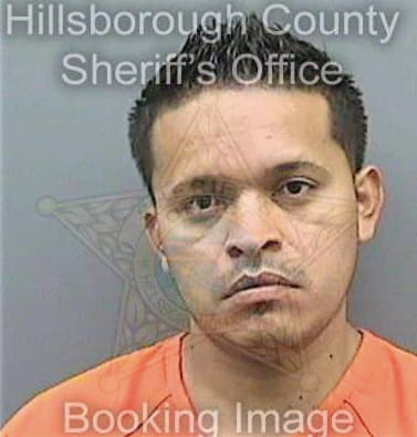 Farias Jesus - Hillsborough County, FL 