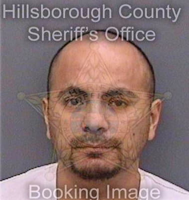 Leonpulido Joe - Hillsborough County, FL 