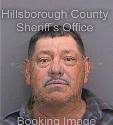 Villegasmedrano Rafael - Hillsborough County, FL 