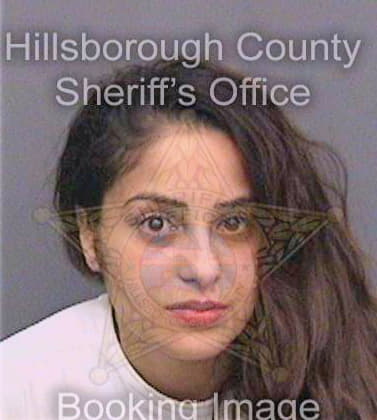 Serra Gabriela - Hillsborough County, FL 