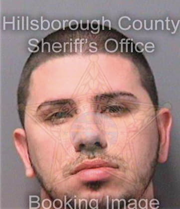 Dearmasgonzalez Yunior - Hillsborough County, FL 