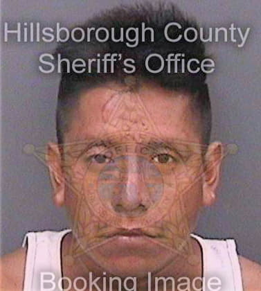 Godinezgarcia Hector - Hillsborough County, FL 