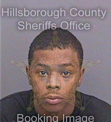 Chandler Demario - Hillsborough County, FL 