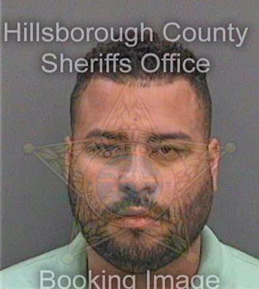 Peraltarodriguez Yader - Hillsborough County, FL 