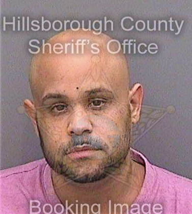Silva Ariel - Hillsborough County, FL 