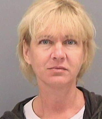 Blanchette Diane - Hillsborough County, FL 