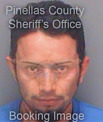 Gomezperez Marco - Pinellas County, FL 