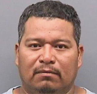 Martinez Mayolo - Hillsborough County, FL 