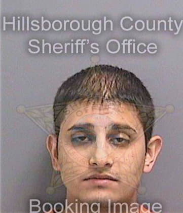 Singh Ashneel - Hillsborough County, FL 