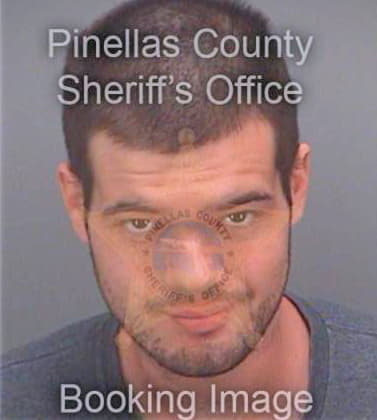 Bianchi Stephen - Pinellas County, FL 