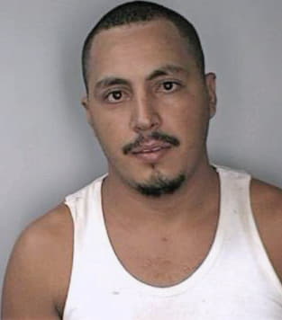 Mendoza Dublas - Hillsborough County, FL 