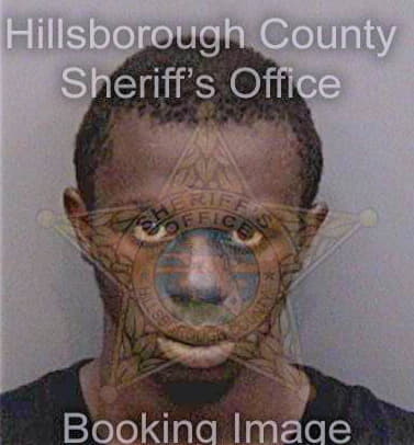 Brison John - Hillsborough County, FL 