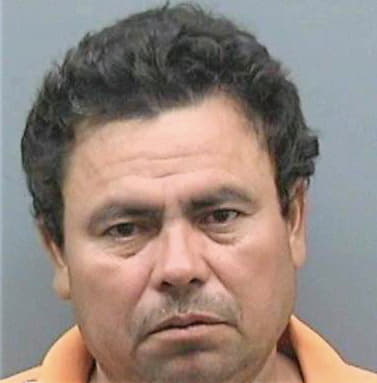 Melgar Victor - Hillsborough County, FL 