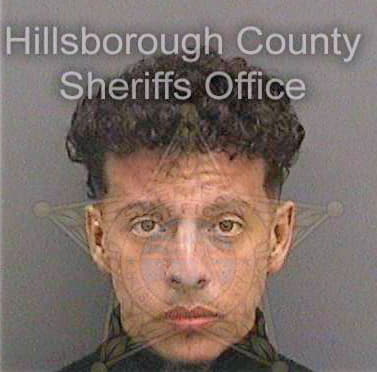 Didier Salgado - Hillsborough County, FL 