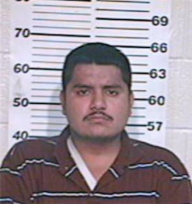 Araujo Luis - Hidalgo County, TX 