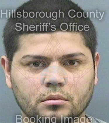 Olivas Norvin - Hillsborough County, FL 