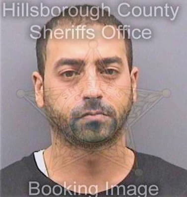 Masoud Meena - Hillsborough County, FL 