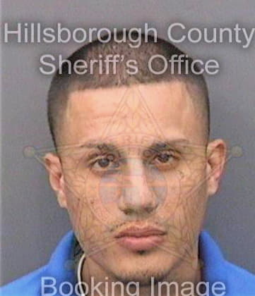 Rodriguez Anthony - Hillsborough County, FL 