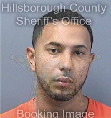 Gutierrez Felix - Hillsborough County, FL 