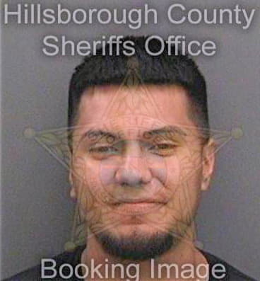 Silva Juan - Hillsborough County, FL 