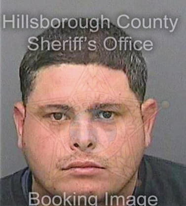 Perezacevedo Alfredo - Hillsborough County, FL 