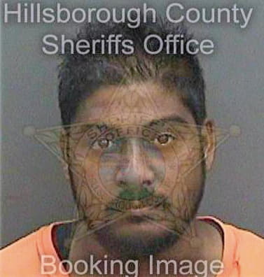 Singh Christopher - Hillsborough County, FL 