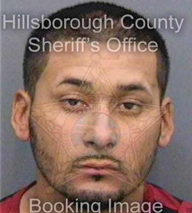 Mejia Raul - Hillsborough County, FL 