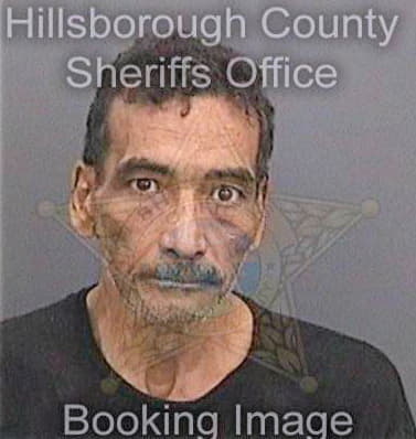 Meguid Ashraf - Hillsborough County, FL 