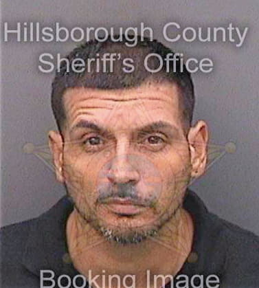 Vasquez Luis - Hillsborough County, FL 