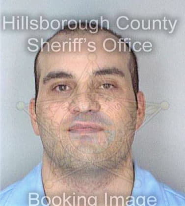 Dilella Paul - Hillsborough County, FL 