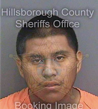 Sanchez Ivan - Hillsborough County, FL 