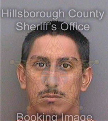 Gonzalez Alexander - Hillsborough County, FL 