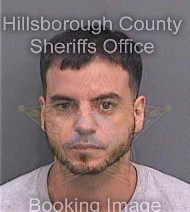 Dominguez Bradley - Hillsborough County, FL 